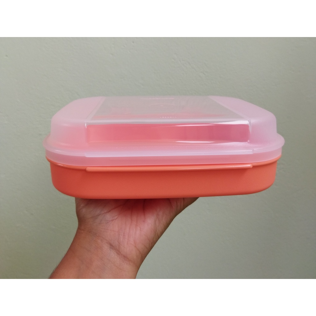 Tupperware Caixa Visual Box Mini 550 ML Laranja | Shopee Brasil