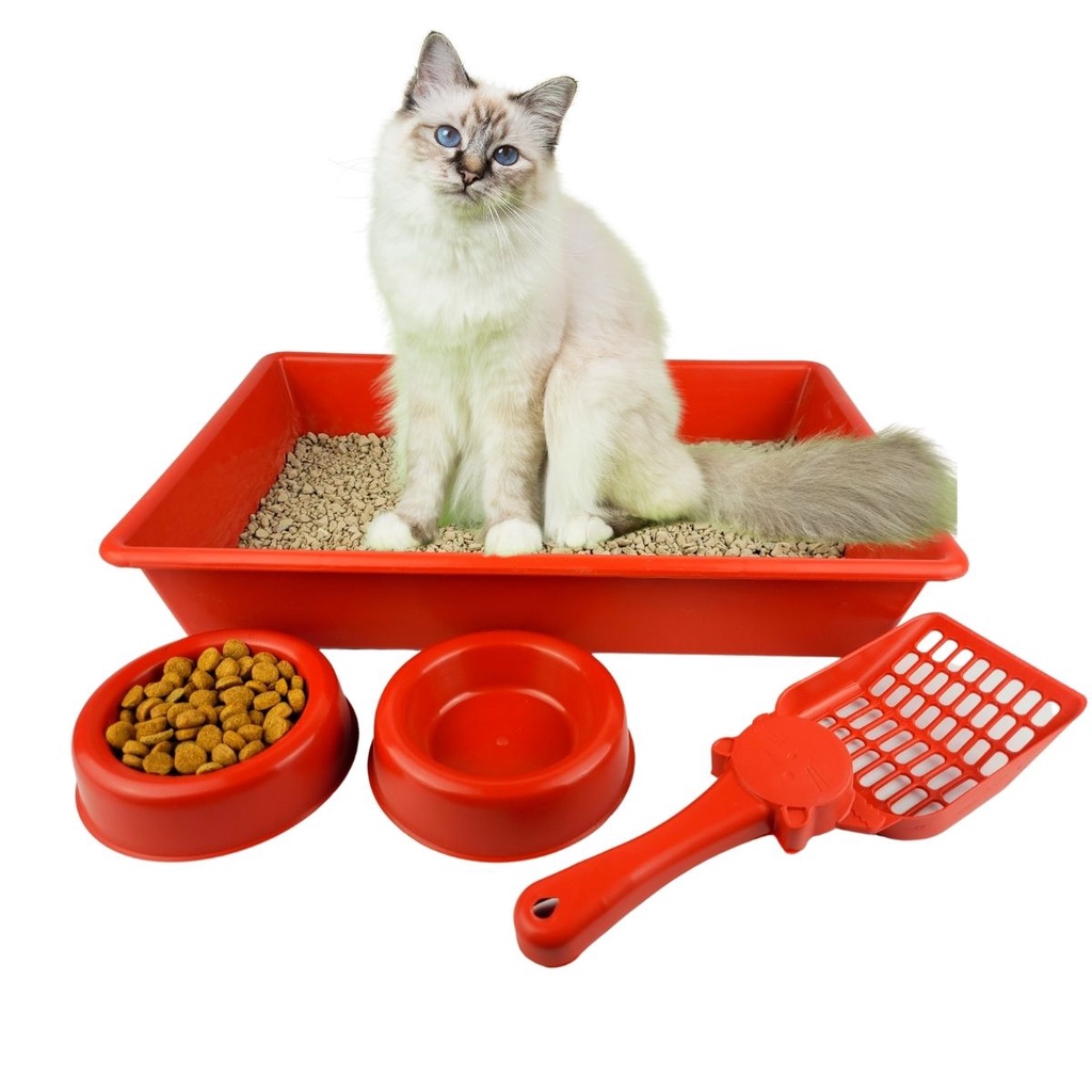 Caixa De Areia De Gato Kit Bandeja Higiênica para gato