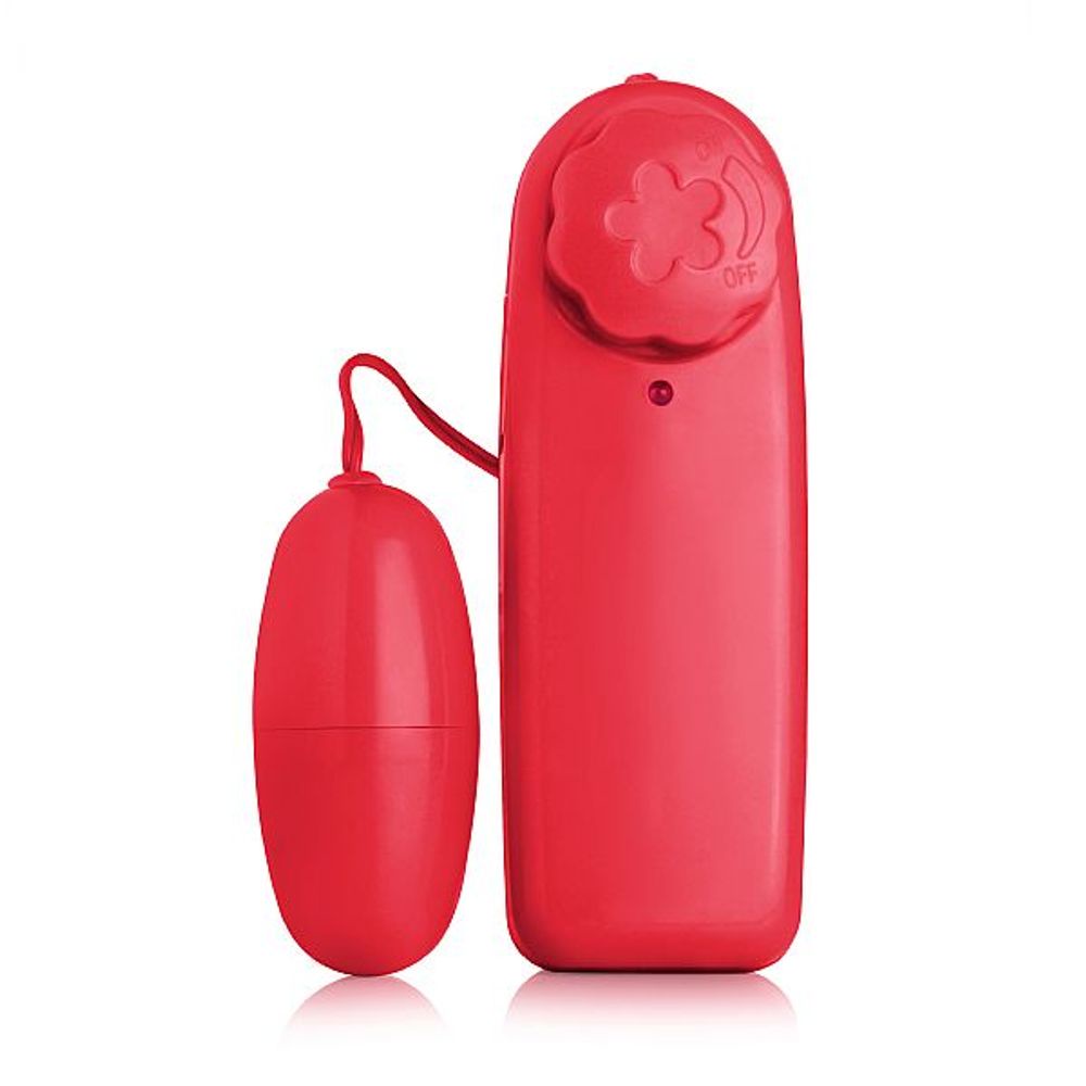 Vibrador Massagem na Buceta Vibrador Massageia Vagina Orgasmo Tesão Mulher  Goza Muito | Shopee Brasil