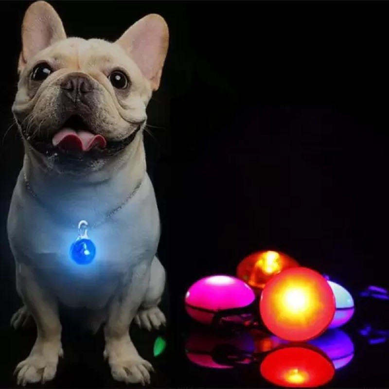 Pingente Brilhante Led luz Premium Para Coleira Cães Gatos - Fluffie -  Pingente de Identificação - Magazine Luiza