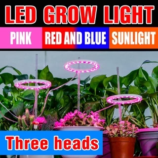 Led uv crescer luz planta lâmpada usb espectro completo interior phyto lâmpadas tenda crescimento caixa temporizador regulável crescer led 1/2/3/4 cabeça dc5v