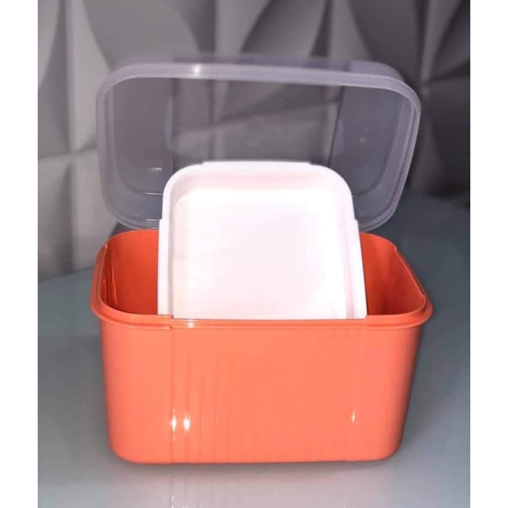 Tupperware Linha Visual Box | Shopee Brasil