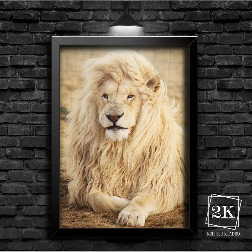 Quadro Decorativo Leão Savana Rei