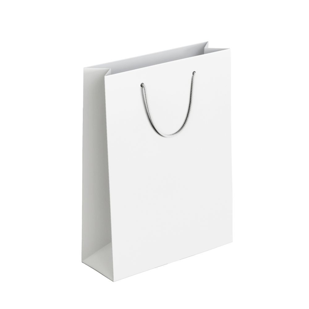 50 Sacola de Papel Branca 10x15x4cm