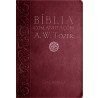 Bíblia RC Com Anotações A. W. Tozer - Vinho - 6117