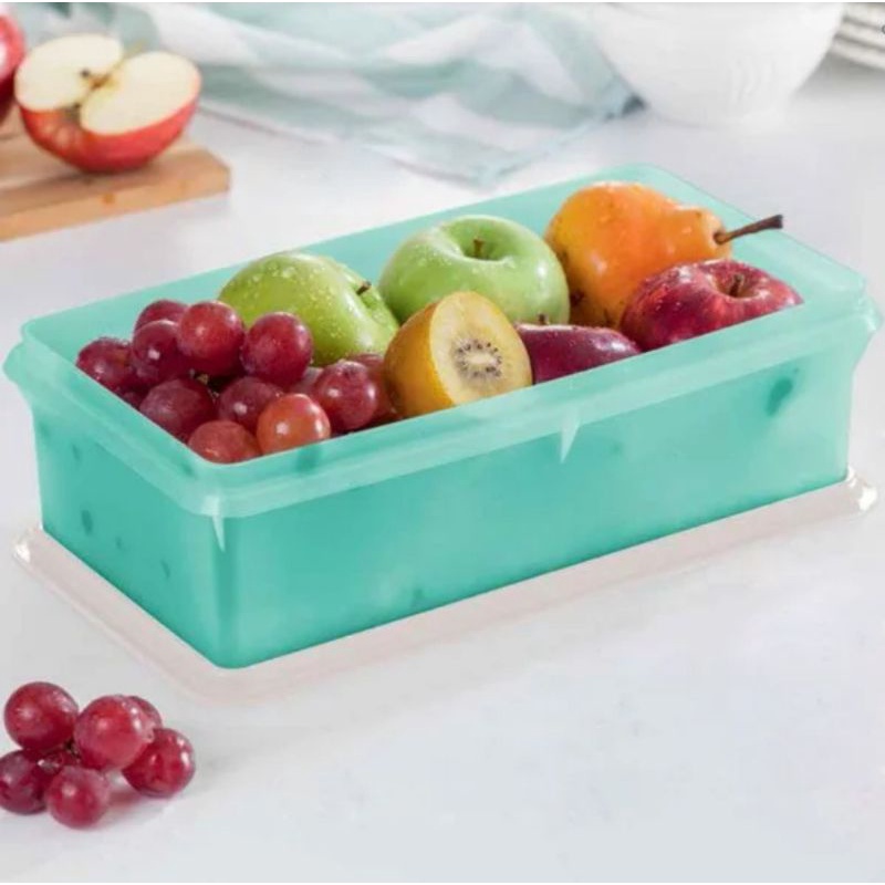 Tupperware Maxi Caixa 2,5 litros Verde | Shopee Brasil