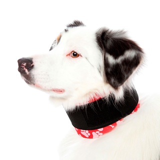 Colar Cervical Para Cães Pet Med Tecido - N° 2