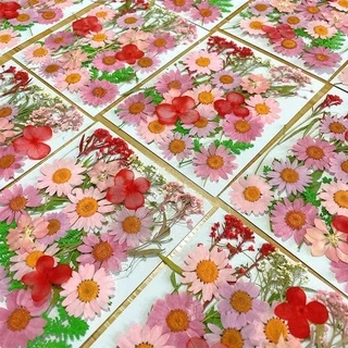 Usado Para Festa De Resina Em Relevo material De Flores Secas Pacote De Flor Seca diy Epoxy Telefone Celular Capa De Joias De Arte Foto Moldura