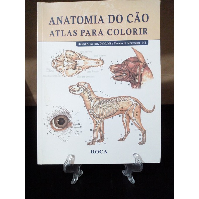 Sebo do Messias Livro - Atlas de Anatomia Veterinária - Para Colorir