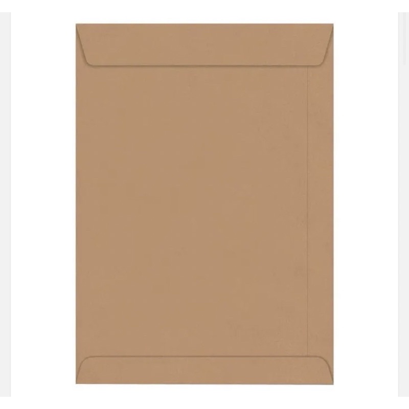 Envelopes Saco Kraft Kit Com 2 Envelopes A4 | Shopee Brasil