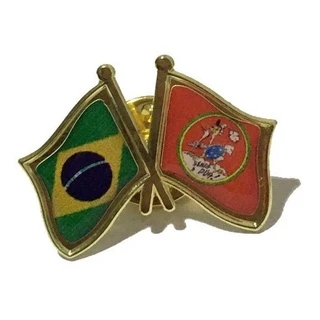 Pins Da Bandeira Do Brasil X Senta A Pua