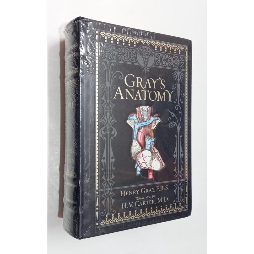 Livro Gray's anatomy (Barnes & Noble Collectible Editions) - Henry Gray