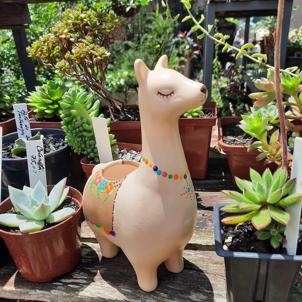 Vaso Lhama Cerâmica Cactos Suculentas