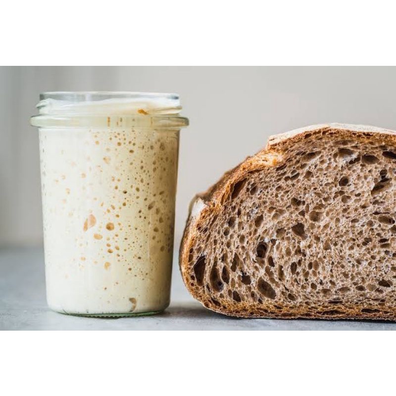 Levain Fermento Natural Sem Glúten Orgânico Para Pães e Massas