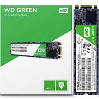 Disco sólido interno Western Digital WD Green WDS240G3G0B 240GB verde