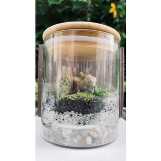 terrário. kit faça você mesmo. DIY. G