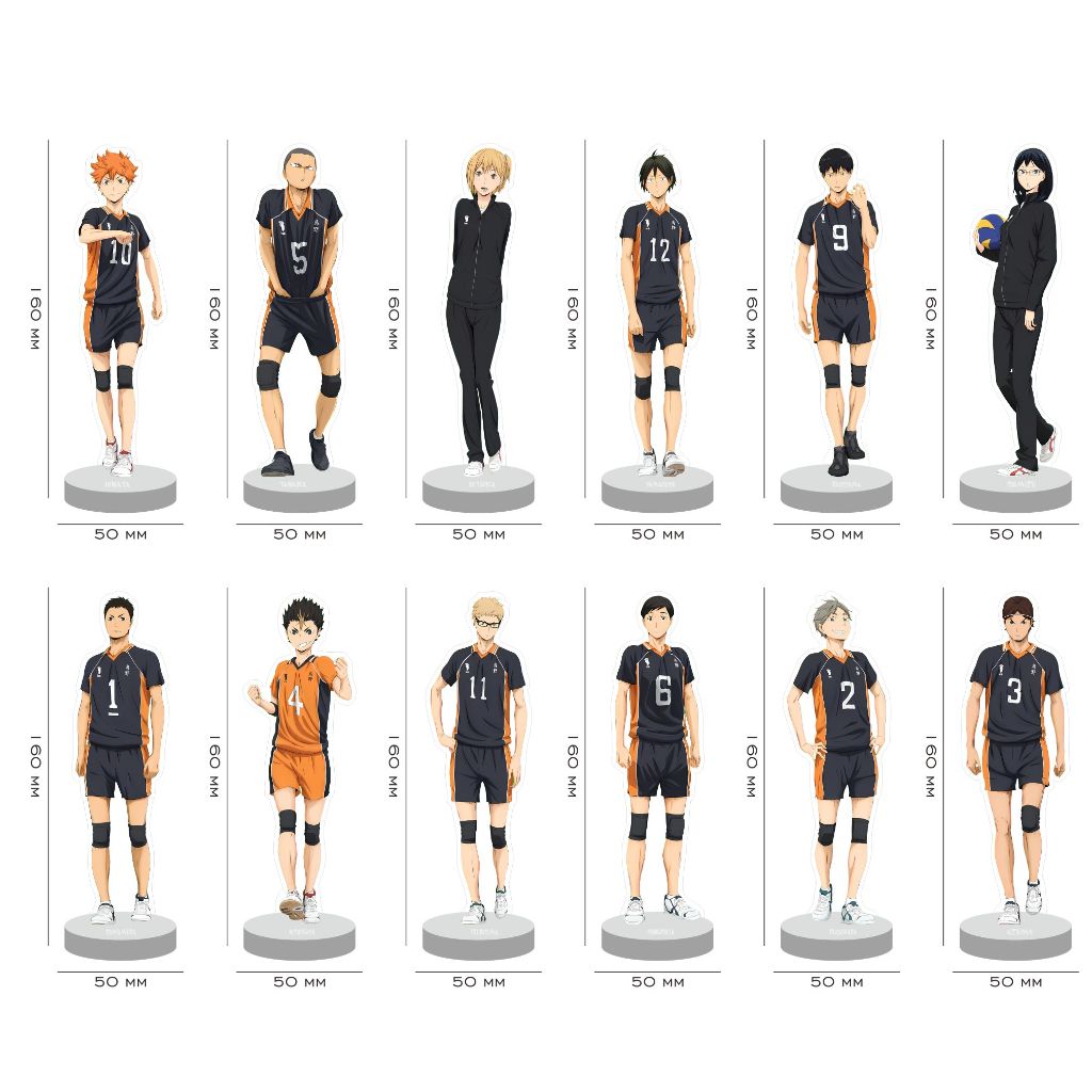 Figura Acrílica Haikyu ! Escola Secundária Karasuno
