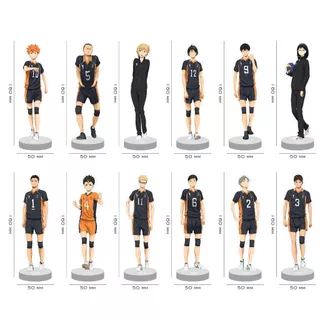 Figura Acrílica Haikyu ! Escola Secundária Karasuno
