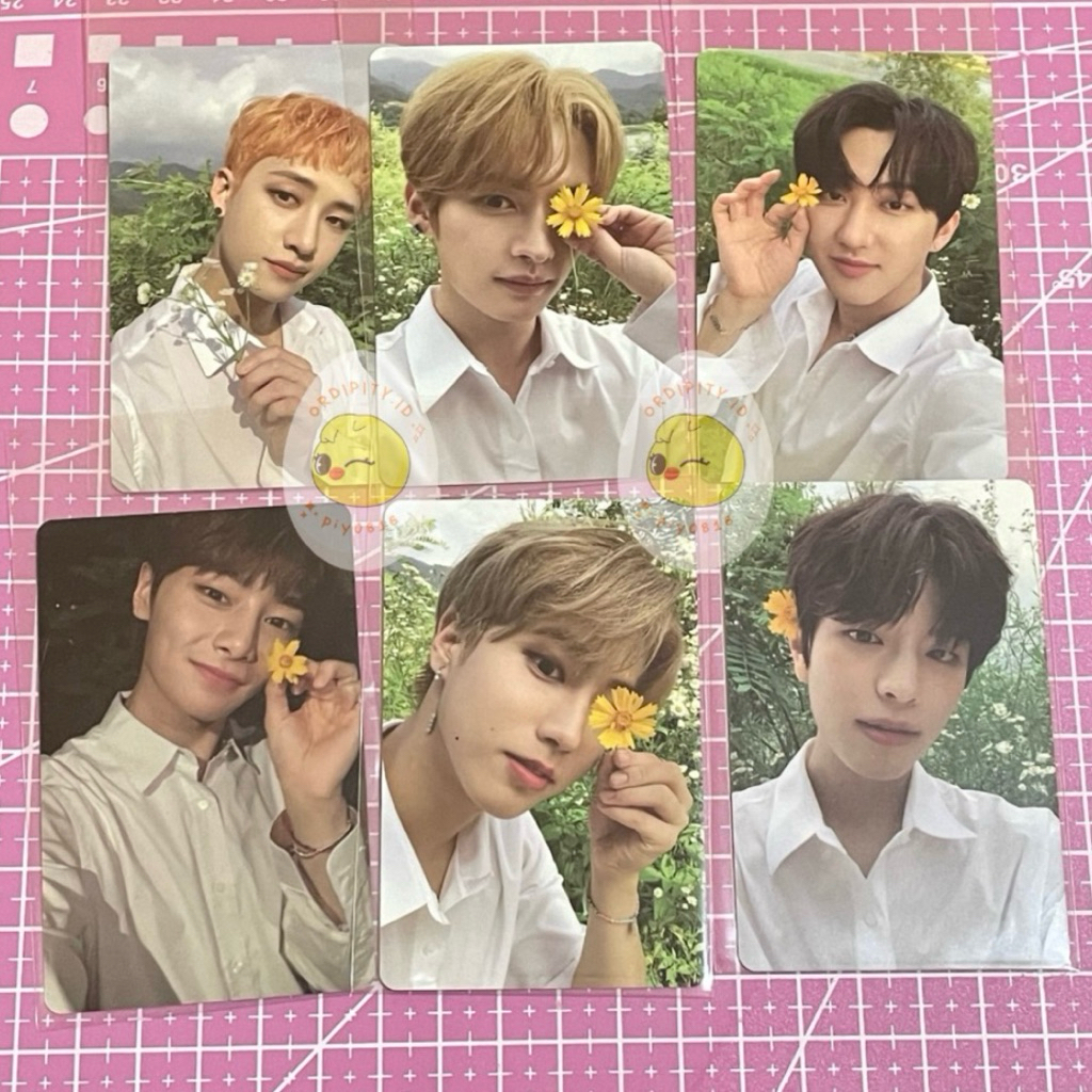 NOEASY Álbum De Cartões De Fotos STRAY KIDS Flor BANGCHAN CHANGBIN