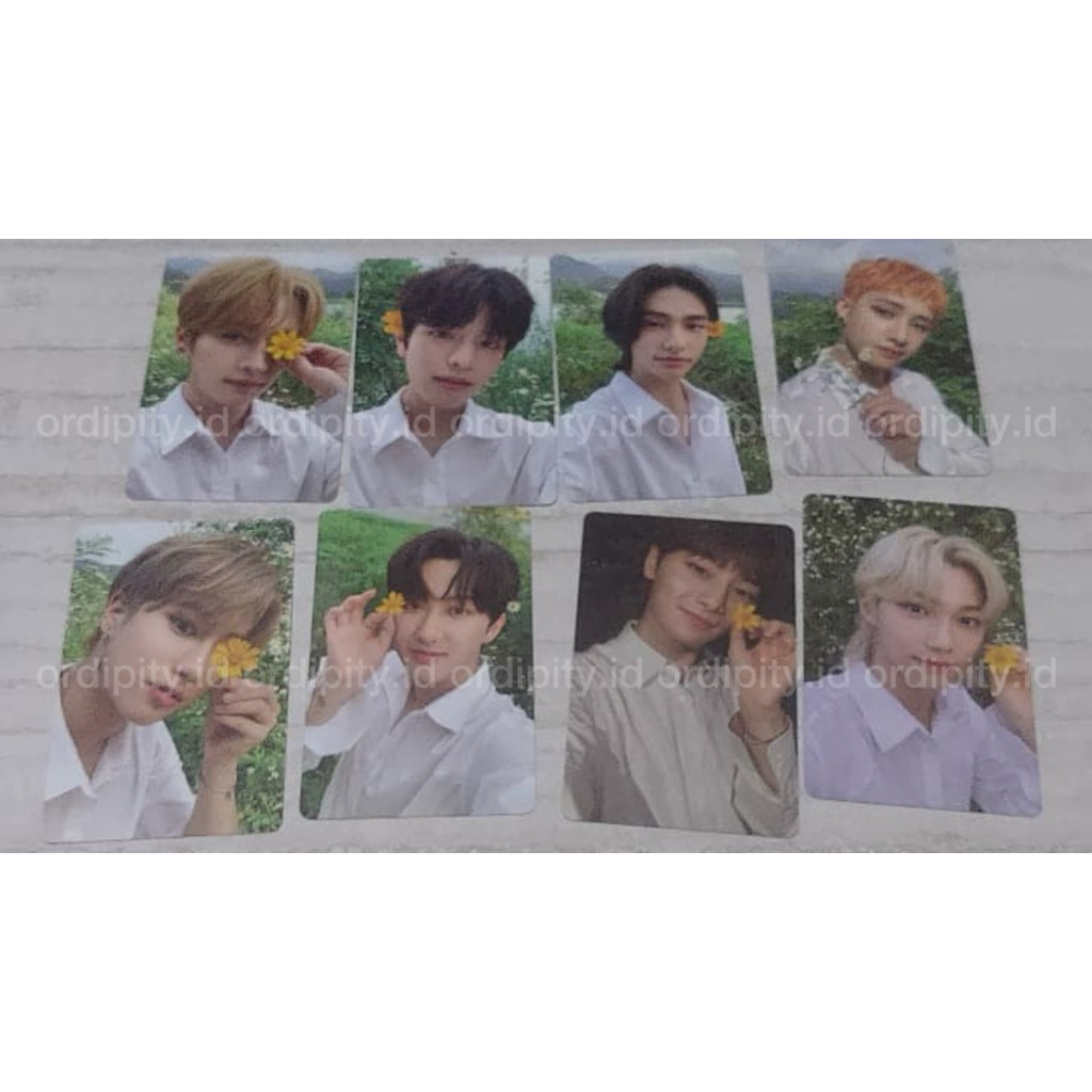 StrayKids NOEASY shopeeヒョンジン 特典 NOEASY Álbum De Cartões De Fotos STRAY KIDS Flor BANGCHAN CHANGBIN