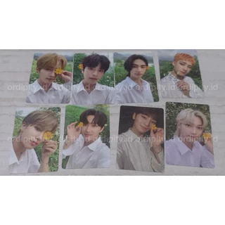 ordipity.br, Loja Online | Shopee Brasil