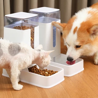 Comedouro Automático De Água Para Cães Gatos
