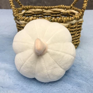 [LGFY] Boneca de Pelúcia Boneca de Pelúcia Boneca de Alho Boneca de Cebola Criativa Boneca de Vegetais Ragdoll Batata de Abóbora Grande Aniversário Evento Presente B