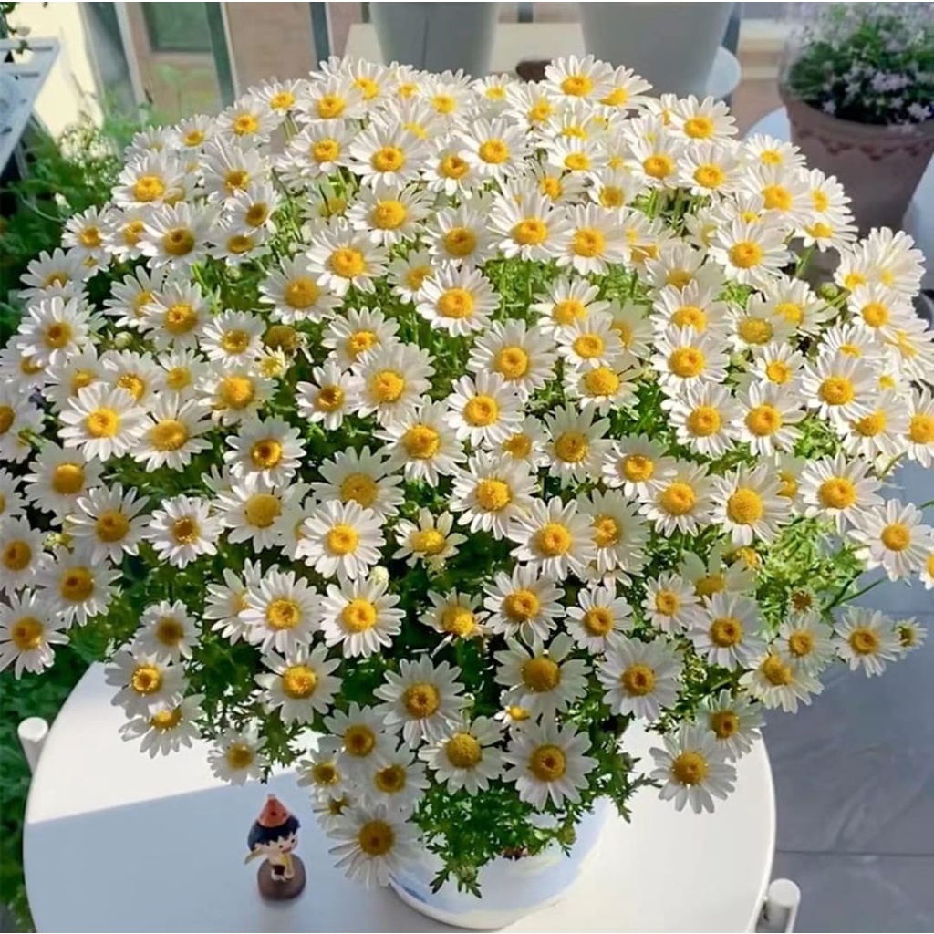mini margaridinha artificial enfeite e decoracao