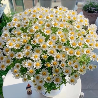mini margaridinha artificial enfeite e decoracao