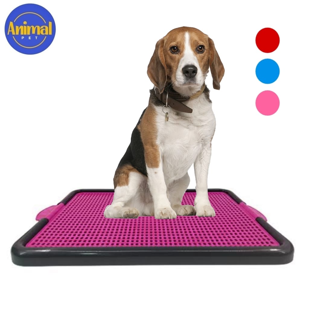 Educador Canino Sanitário Pet Cachorro Tapete Para Cachorro Fazer Xixi ...