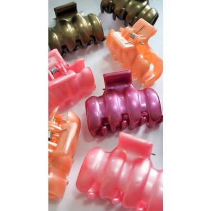 その他 Piranha 4L Piranha de cabelo Quatro dentes 12unidades - Raças | Shopee Brasil