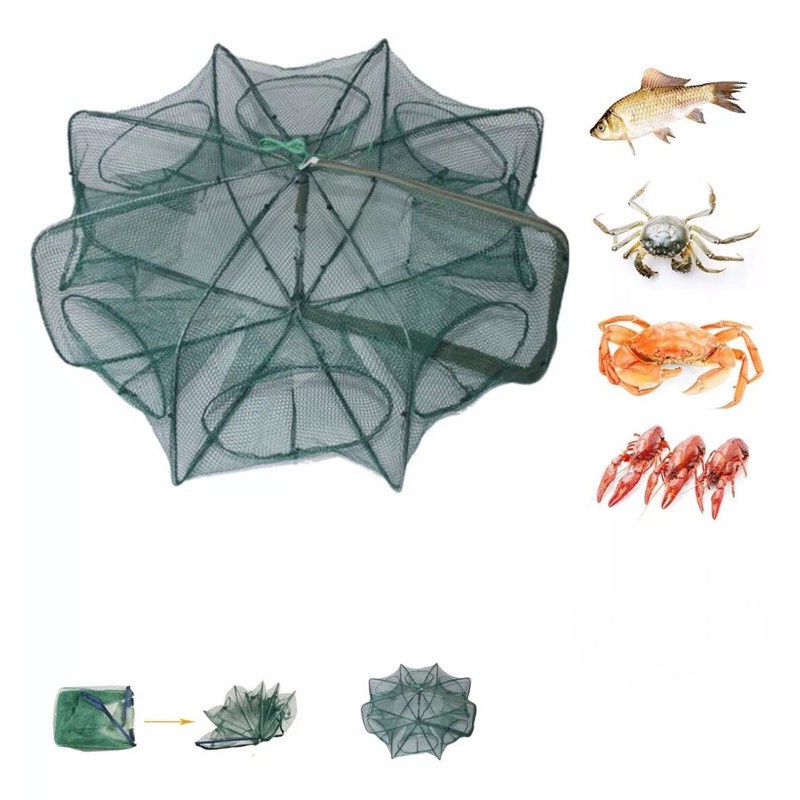 Covo Armadilha De Peixes 6 Bocas Quadrada, Camaroes, Lambai