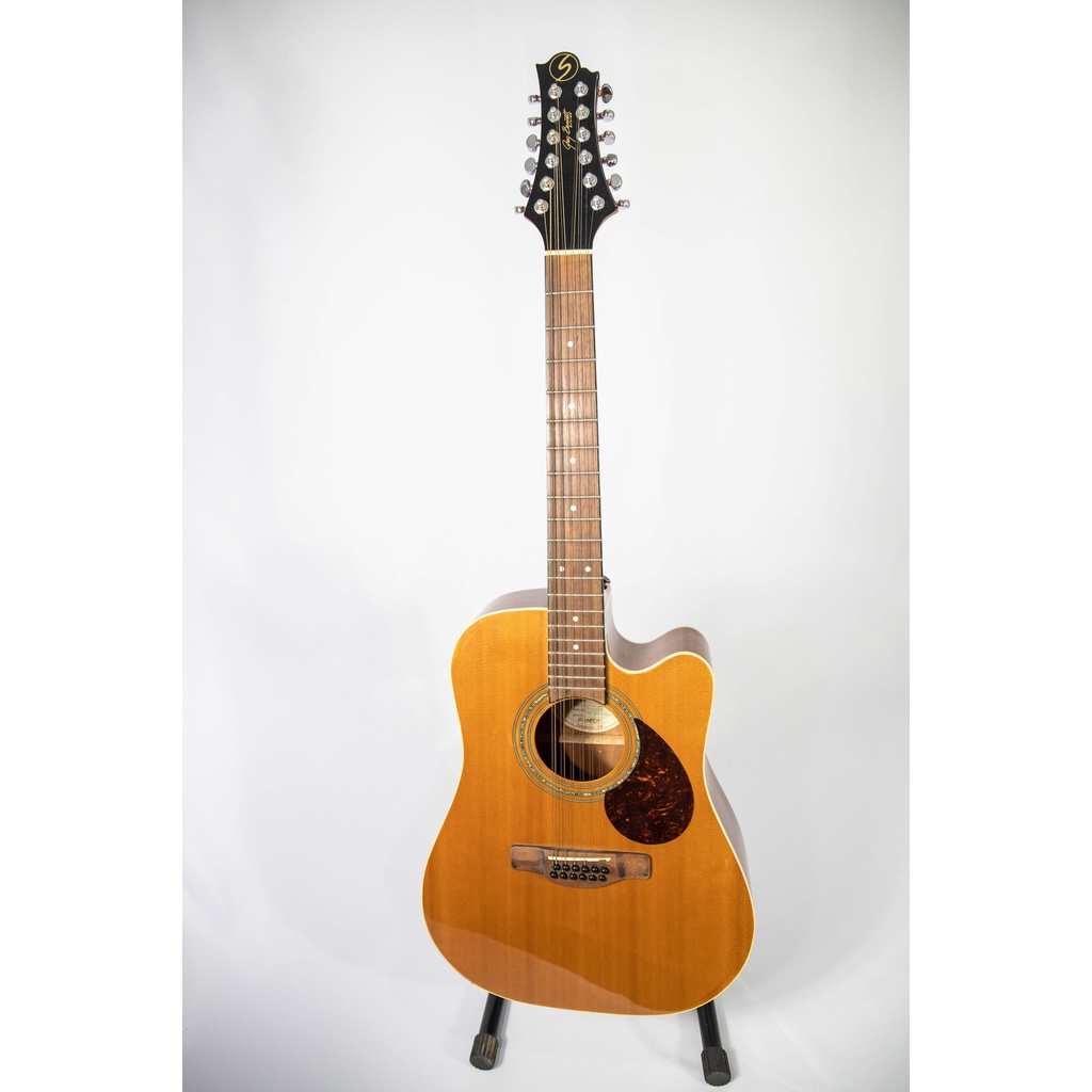 【有名人芸能人】 Violão Elétrico 12 Cordas Greg Bennett (modelo D-2 12ce ギター