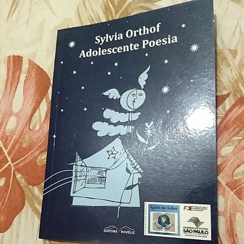 Livro Adolescente Poesia De Sylvia Orthof Shopee Brasil