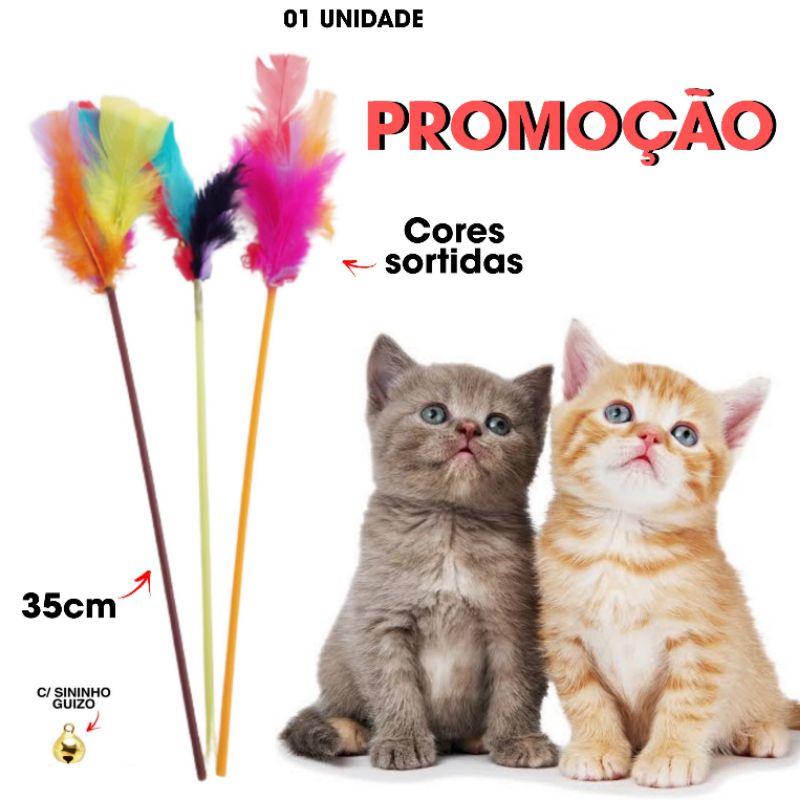 Gato doméstico vermelho brincando com varinha de brinquedo de penas.  atividade de jogo para animal de estimação indoor. suprimentos para gatos