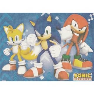 Display Painel de chão para foto Sonic e Tails