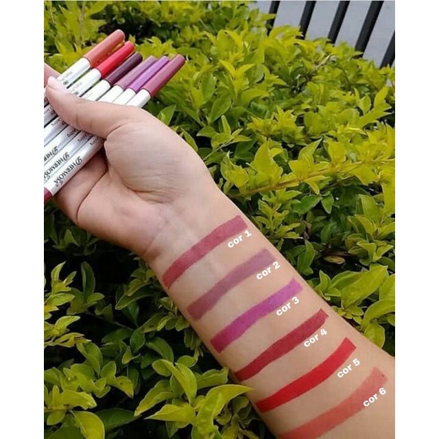 LÁPIS LABIAL TRUE COLOUR LIPLINE D'HERMOSA | Shopee Brasil