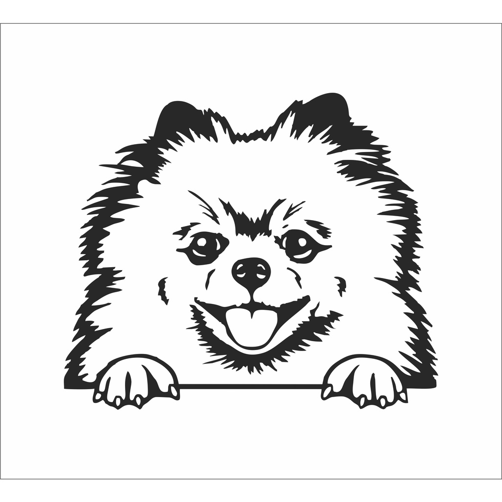 Kiwistar - Adesivo per auto – Meclemburgo-Pomerania Anteriore – Lilla – 30 x 16 cm – Adesivi per auto, laptop, biciclette, camion, moto multicolore JDM Decal Racing
