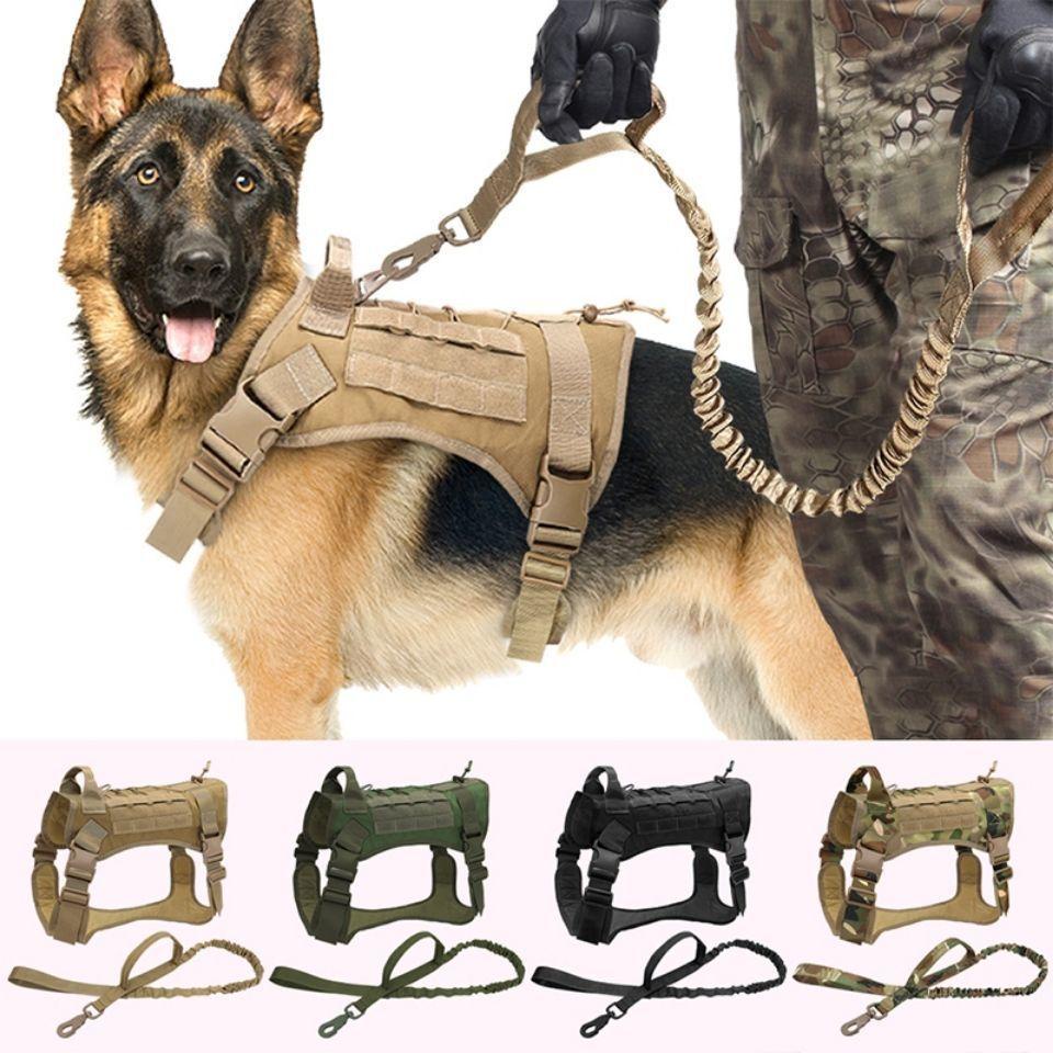 2pçs/Conjunto Exterior Para Cães De Estimação Coleira De Colete De ...