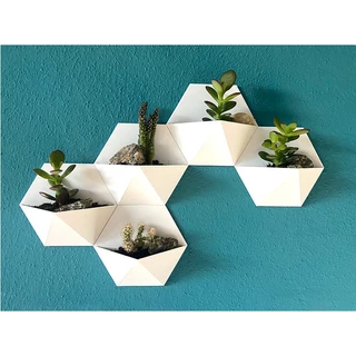 Kit 5 Vasos Cactos Suculentas para Parede Cachepot Decorativo Plantas Artificiais e Naturais