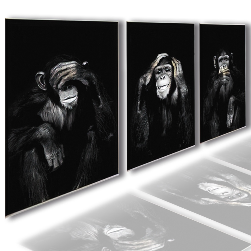 Quadros Decorativos - 3 Telas - Macacos Engraçados - 70x40cm