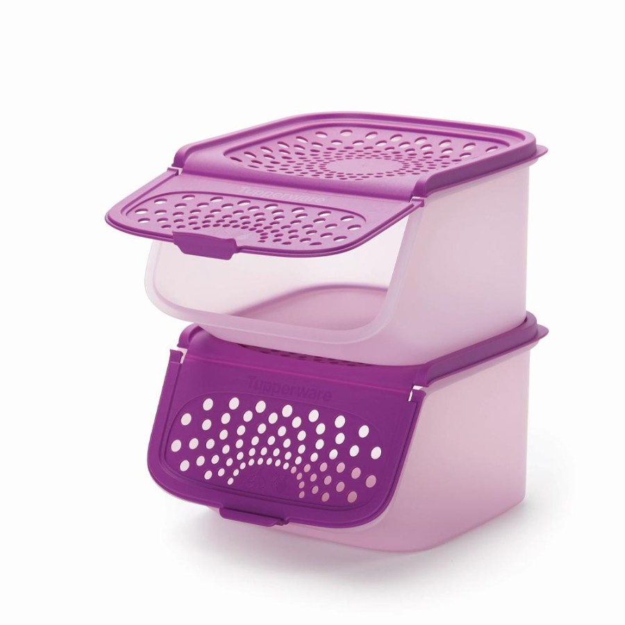 Cesto Modular Tulha Para Cebola e Alho Roxo com Rosa Bebe 2.3L ...