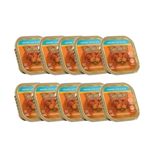 Kit 10 Rações Special Cat Patê Gatos Adultos Peixe 100g