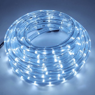 Mangueira Luminosa 10m com LED Branco 127v para Decoração