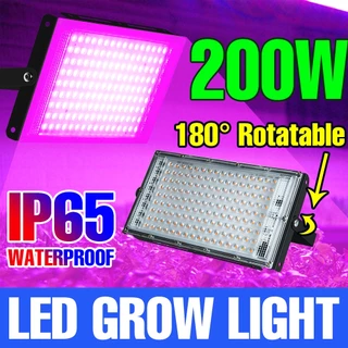 Luz LED De Cultivo De Espectro Completo 220V 25W/50W/100W/200W Lâmpada De Crescimento Rápida De Árvore Com Interruptor De Fio Longo De 1.5M