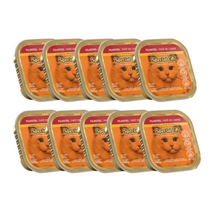 Kit 10 Ração Special Car Patê Gatos Filhotes Carne - 100g