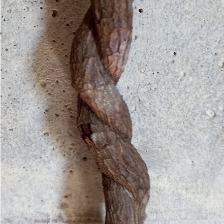 Cipó trançado para decoração e artesanato