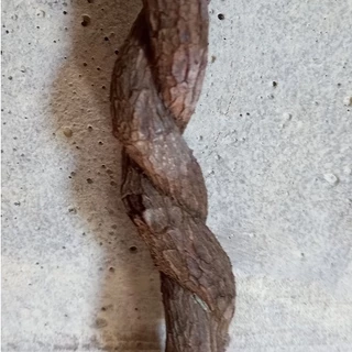 Cipó trançado para decoração e artesanato