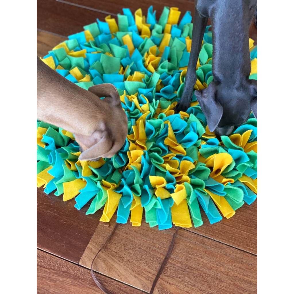 Tapete Snuffle em peixe – Tapetes alimentação fácil limpar com material lã   Jogos quebra-cabeça para cães para alívio estresse e alimentação lenta :  : Pet Shop