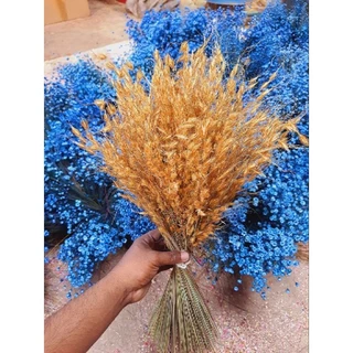 Buquê de trigo , capim ouro , capim chorão , Capim arroz e Andréquice